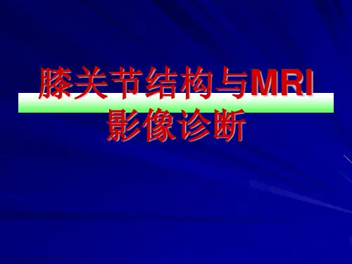 膝关节的解剖与MRI影像诊断