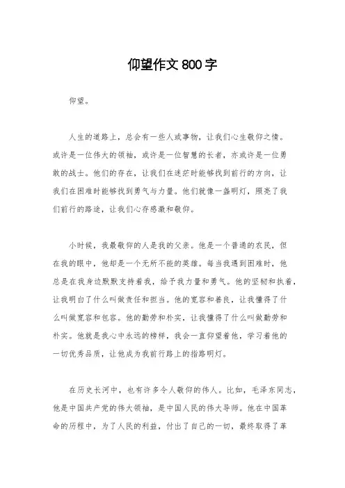 仰望作文800字