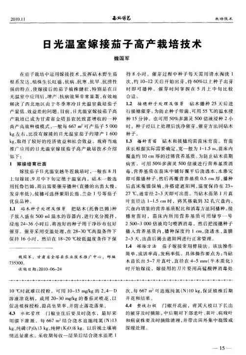 日光温室嫁接茄子高产栽培技术