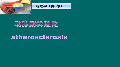 6.1 动脉粥样硬化