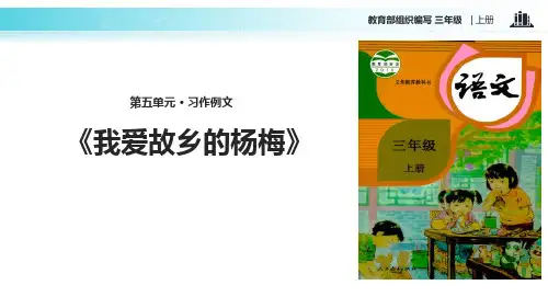 《我爱故乡的杨梅》PPT(完美版)下载
