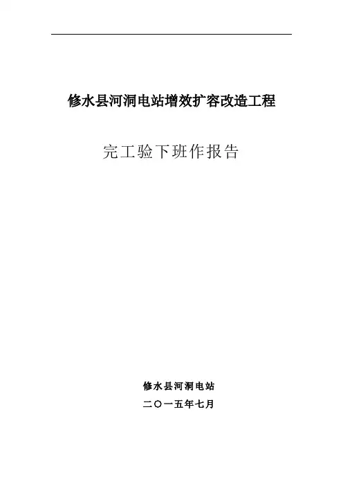 河洞电站增效扩容改造完工验下班作报告