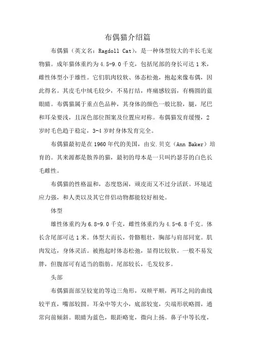 布偶猫介绍篇