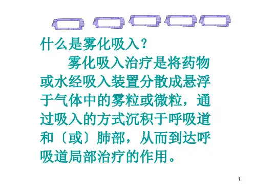 常用雾化药物的作用PPT课件