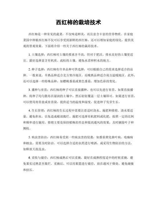 西红柿的栽培技术