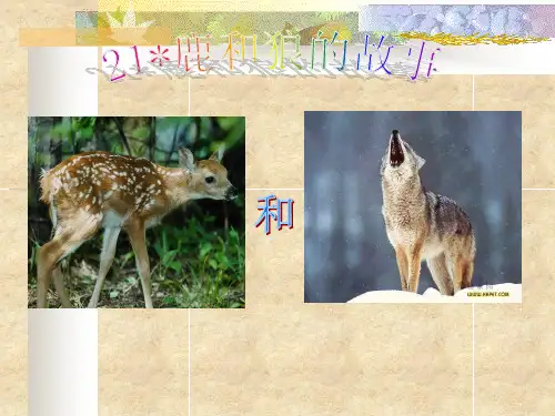 鹿和狼的故事