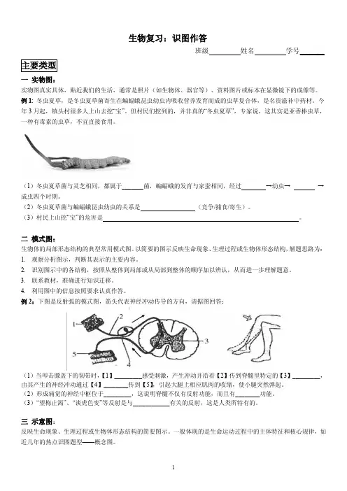 生物复习：识图作答
