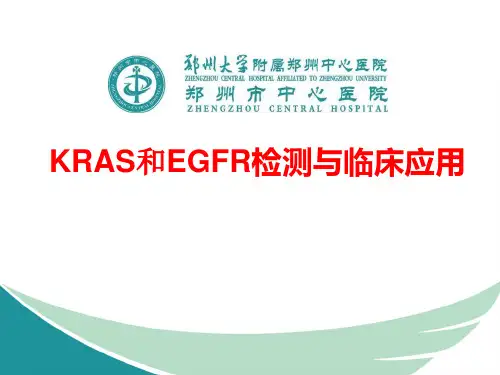 kras和egfr检测与临床应用-文档资料