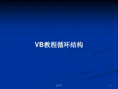 VB教程循环结构PPT教案学习