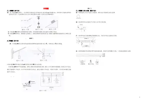 广东省佛山市2017年中考物理总复习 专项训练 作图题 精