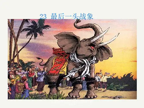 人教版六年级上册《最后一头战象》精美课件