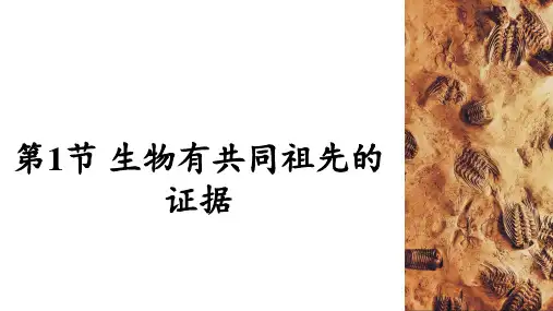 6.1 生物有共同祖先的证据(教学课件)-高一生物人教版必修二