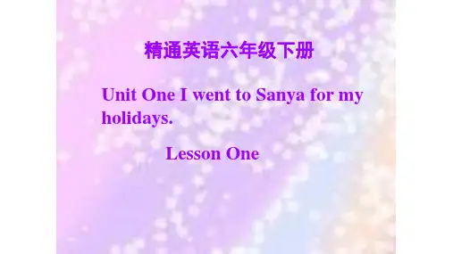 最新人教精通版英语六年级下册Unit1IwenttoSanyaformyholidays