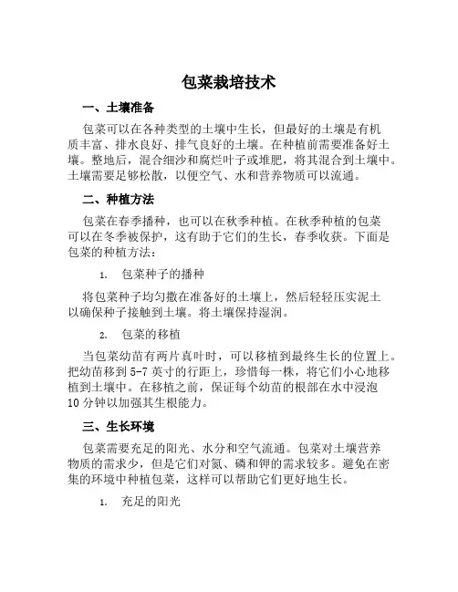 包菜栽培技术