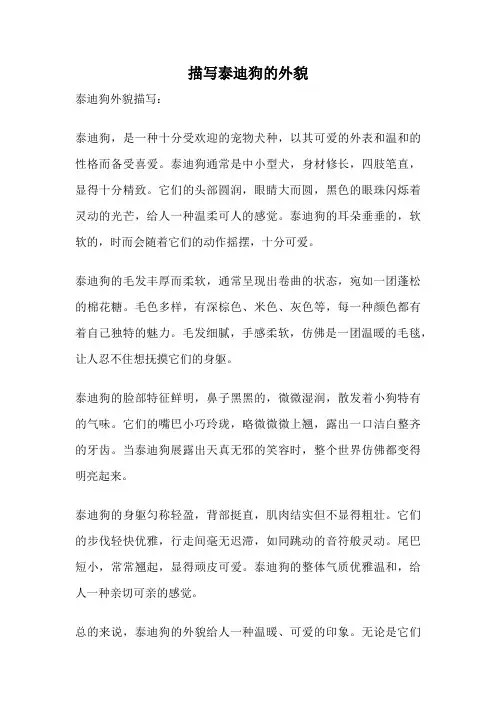 描写泰迪狗的外貌