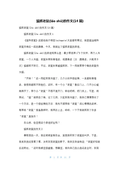 猫抓老鼠的作文(14篇)