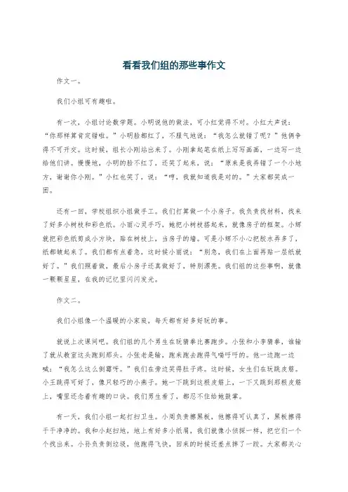 看看我们组的那些事作文