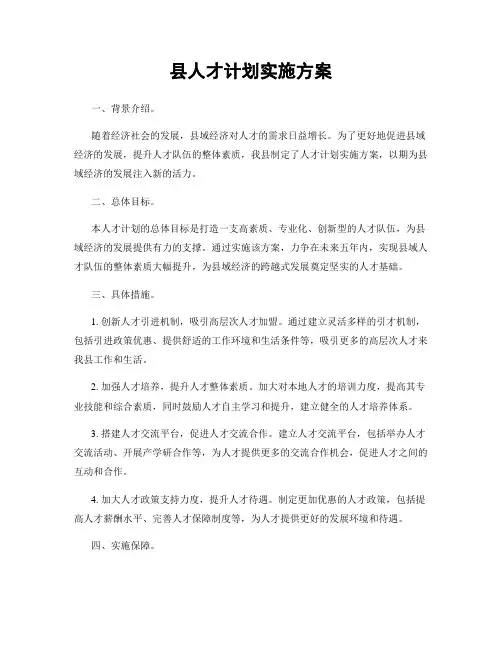 县人才计划实施方案