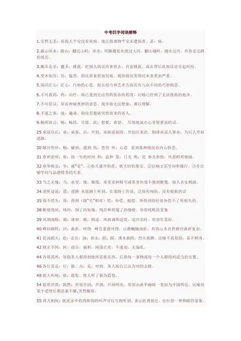 中考四字词语解释