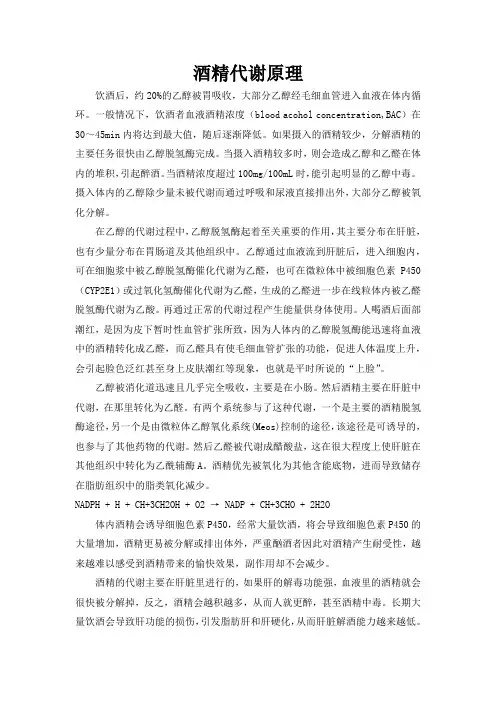 酒精代谢原理