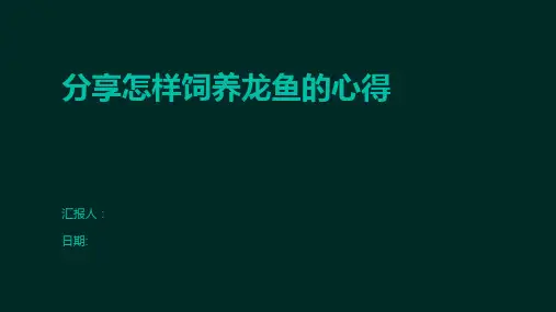 分享怎样饲养龙鱼的心得