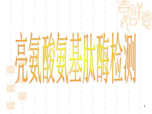 亮氨酸氨基肽酶检测