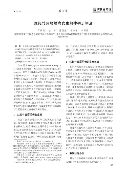 红托竹荪腐烂病发生规律初步调查
