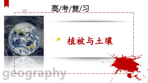 《植被和土壤》高考总复习课件