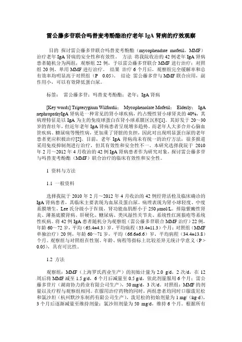 雷公藤多苷联合吗替麦考酚酯治疗老年IgA肾病的疗效观察