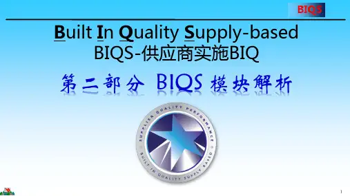 BIQS教材-供应商实施BIQ模块介绍