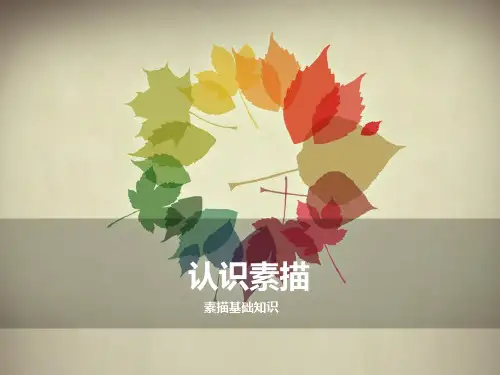 美术教案课件——素描第一课