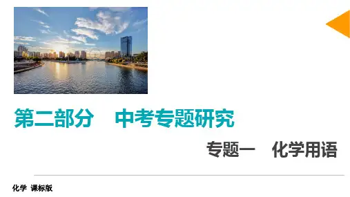 备战中考20届江西化学(新课标)专题复习：专题一 化学用语(共29张PPT)