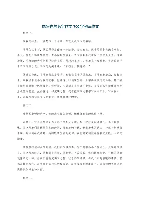 想写你的名字作文700字初三作文