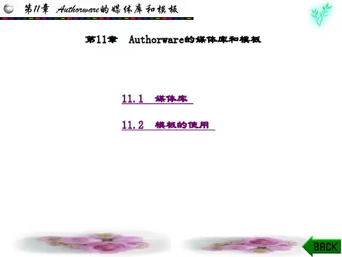 精品课件-多媒体软件开发(牟奇春)-第11章