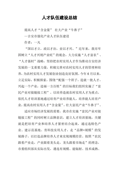 人才队伍建设总结 2
