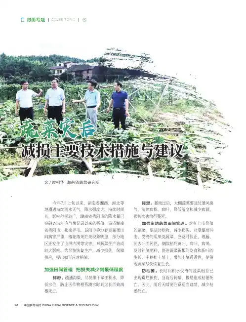 蔬菜灾后减损主要技术措施与建议