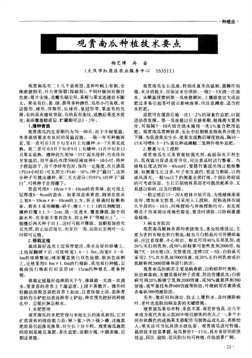 观赏南瓜种植技术要点