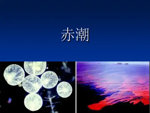 赤潮 (NXPowerLite)