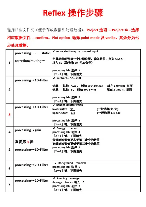 REFLEX处理雷达数据指南