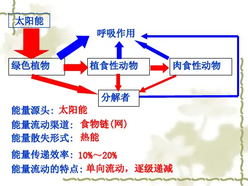 生态系统的物质循环