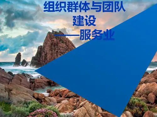 海底捞组织群体与团队建设分析