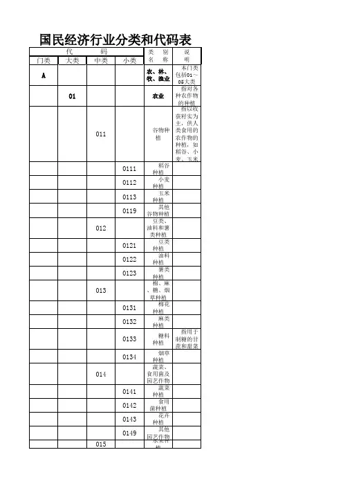 国民经济行业分类和代码 Microsoft Excel 工作表