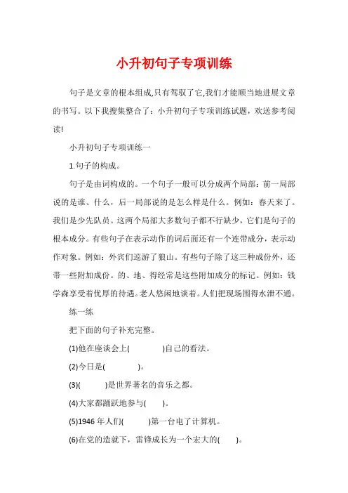 小升初句子专项训练