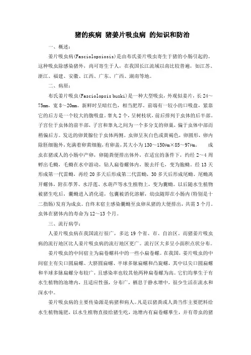 猪的疾病 猪姜片吸虫病 的知识和防治