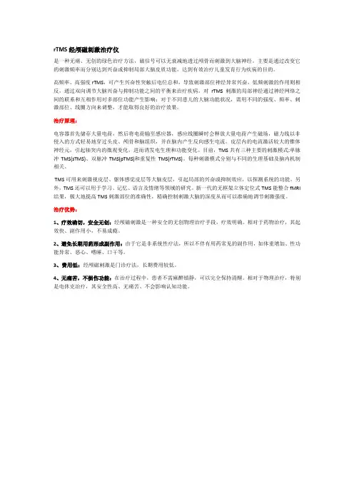 rTMS经颅磁刺激治疗仪