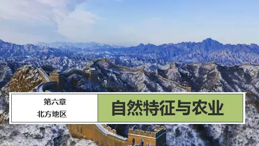 第6章第1节自然特征与农业课件-人教版地理八年级下册