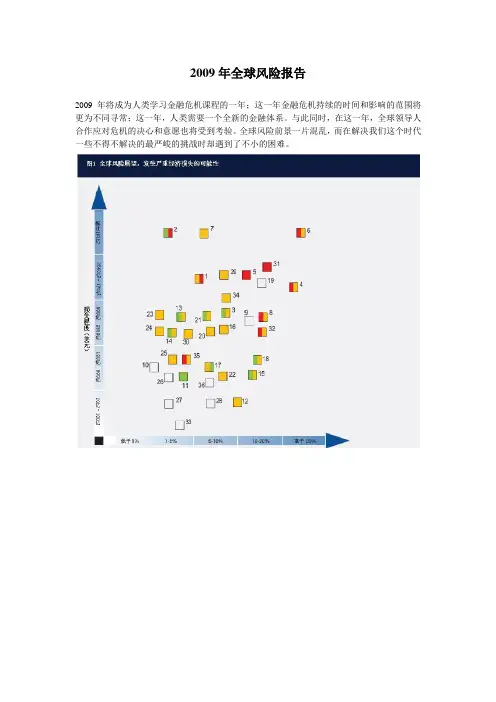 2009年全球风险报告