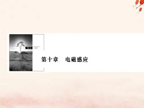 高考物理复习第十章电磁感应第1讲电磁感应现象楞次定律课件