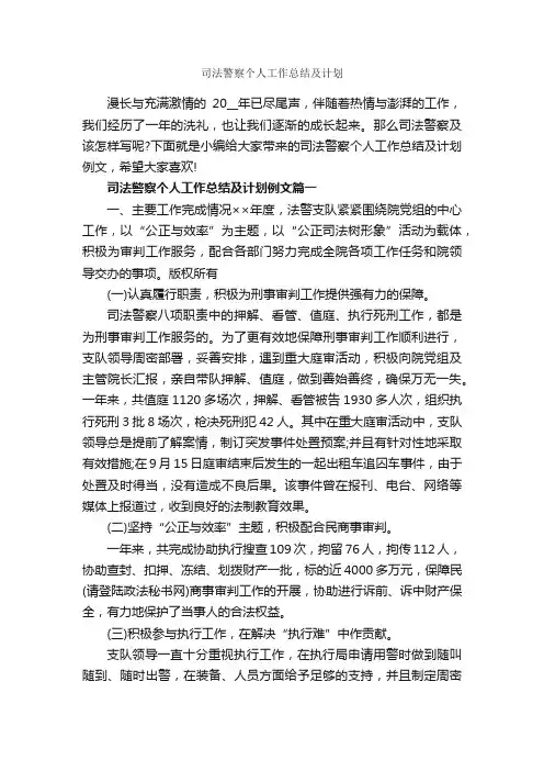 司法警察个人工作总结及计划