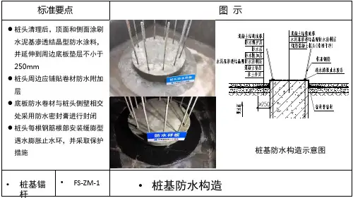 桩基锚杆防水施工管控要点PPT精品文档